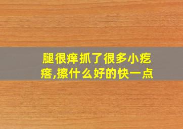 腿很痒抓了很多小疙瘩,擦什么好的快一点