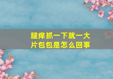 腿痒抓一下就一大片包包是怎么回事