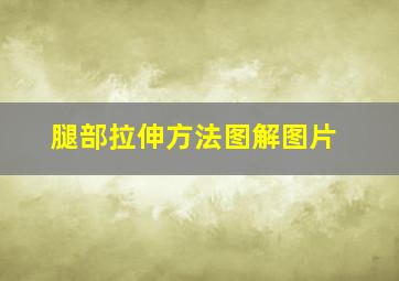 腿部拉伸方法图解图片