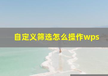 自定义筛选怎么操作wps