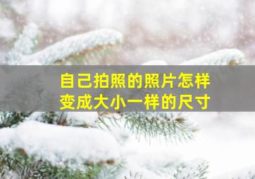 自己拍照的照片怎样变成大小一样的尺寸