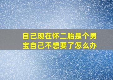 自己现在怀二胎是个男宝自己不想要了怎么办