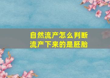 自然流产怎么判断流产下来的是胚胎