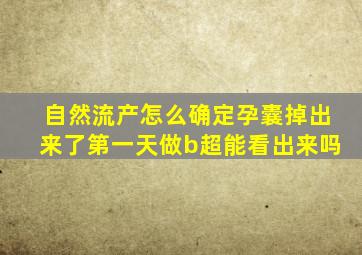 自然流产怎么确定孕囊掉出来了第一天做b超能看出来吗