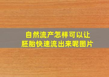 自然流产怎样可以让胚胎快速流出来呢图片