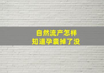 自然流产怎样知道孕囊掉了没