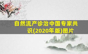 自然流产诊治中国专家共识(2020年版)图片