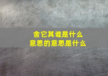 舍它其谁是什么意思的意思是什么