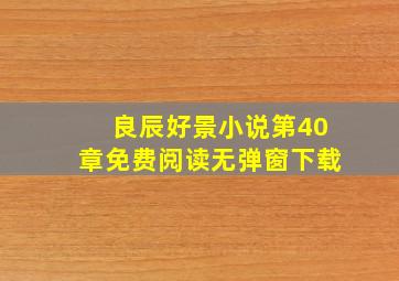 良辰好景小说第40章免费阅读无弹窗下载