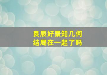 良辰好景知几何结局在一起了吗