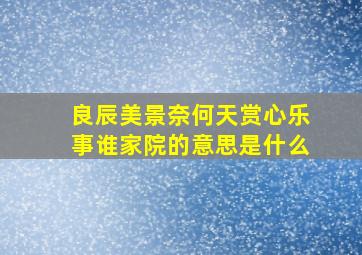 良辰美景奈何天赏心乐事谁家院的意思是什么