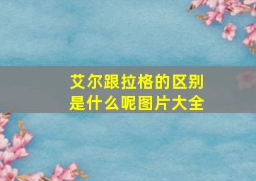 艾尔跟拉格的区别是什么呢图片大全