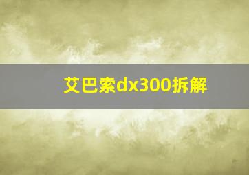 艾巴索dx300拆解