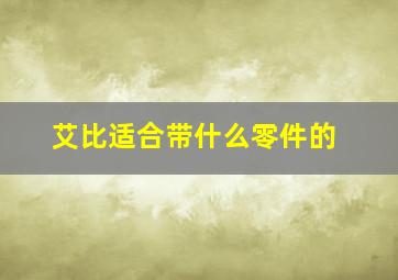 艾比适合带什么零件的