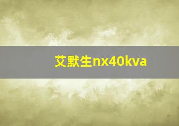 艾默生nx40kva