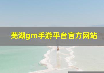 芜湖gm手游平台官方网站