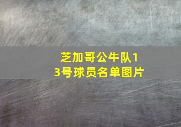 芝加哥公牛队13号球员名单图片