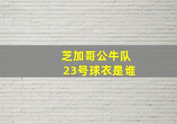 芝加哥公牛队23号球衣是谁