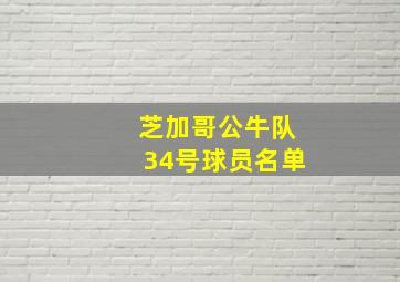 芝加哥公牛队34号球员名单