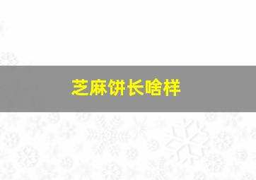 芝麻饼长啥样