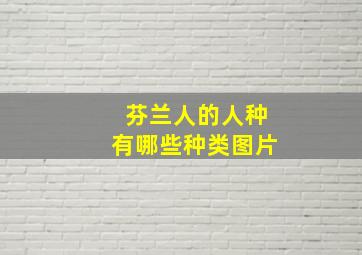 芬兰人的人种有哪些种类图片