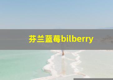 芬兰蓝莓bilberry