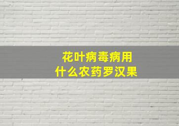 花叶病毒病用什么农药罗汉果