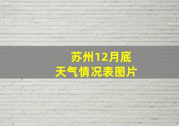 苏州12月底天气情况表图片