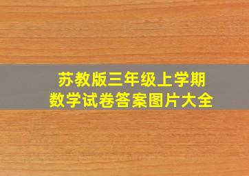 苏教版三年级上学期数学试卷答案图片大全