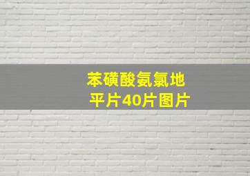 苯磺酸氨氯地平片40片图片