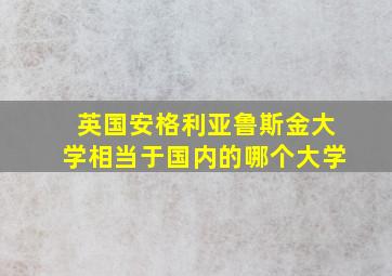 英国安格利亚鲁斯金大学相当于国内的哪个大学