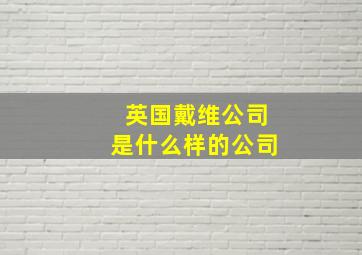 英国戴维公司是什么样的公司