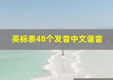 英标表48个发音中文谐音