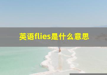 英语flies是什么意思