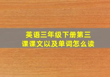 英语三年级下册第三课课文以及单词怎么读