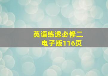 英语练透必修二电子版116页