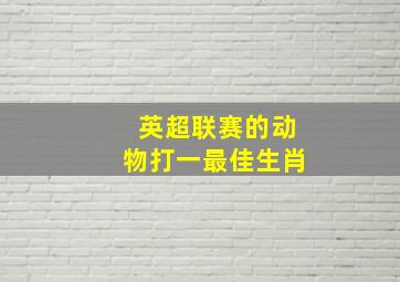 英超联赛的动物打一最佳生肖