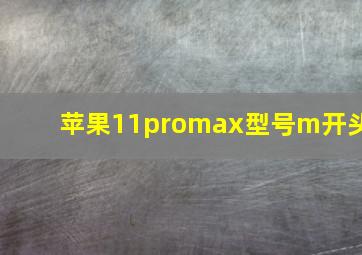 苹果11promax型号m开头