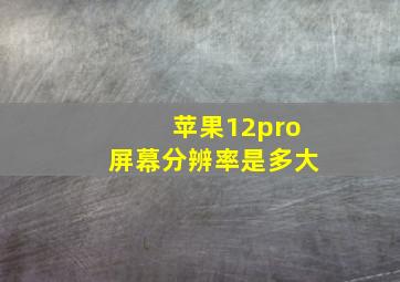 苹果12pro屏幕分辨率是多大