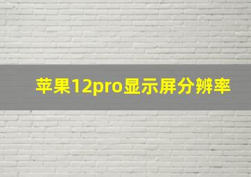 苹果12pro显示屏分辨率