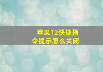 苹果12快捷指令提示怎么关闭