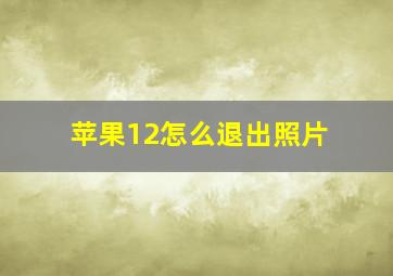 苹果12怎么退出照片