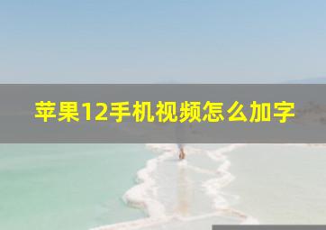 苹果12手机视频怎么加字