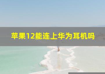 苹果12能连上华为耳机吗