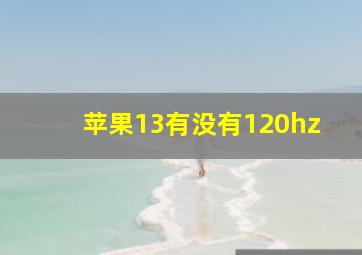 苹果13有没有120hz