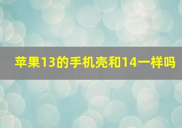 苹果13的手机壳和14一样吗