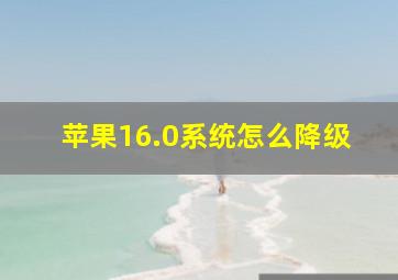 苹果16.0系统怎么降级