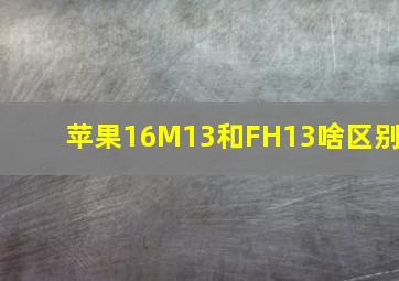 苹果16M13和FH13啥区别