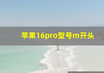 苹果16pro型号m开头