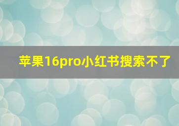 苹果16pro小红书搜索不了